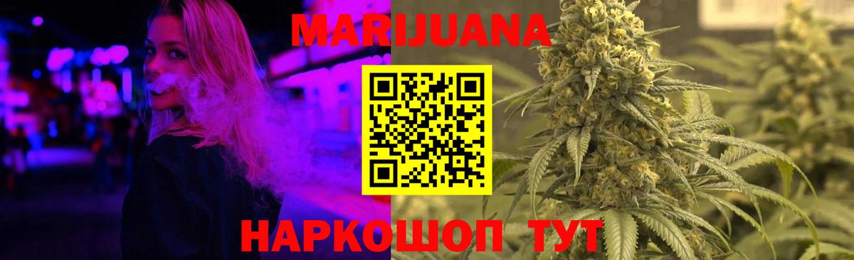 Каннабис индика Гай